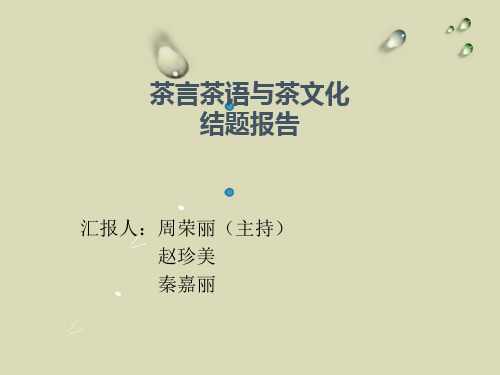 茶言茶语结题报告