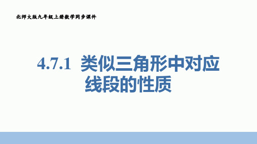 相似三角形中对应线段的性质课件