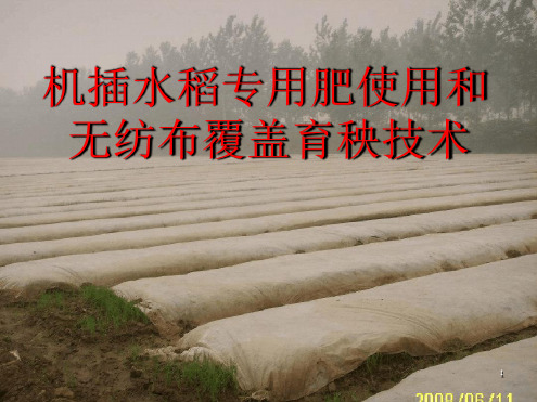 水稻无纺布育秧技术演示课件