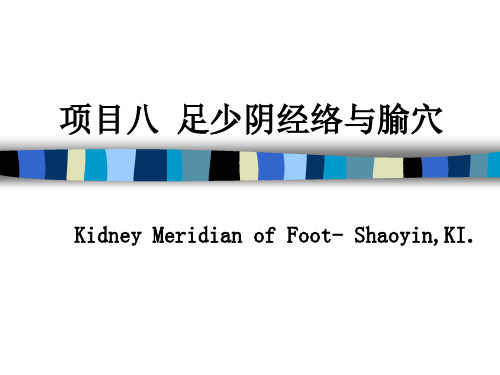 经络学-足少阴肾经ppt课件