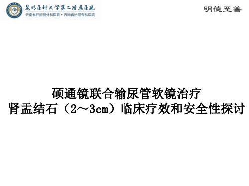 硕通镜联合输尿管软镜中文版