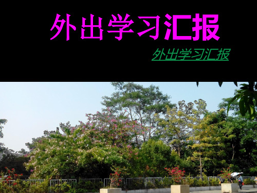 外出学习汇报 ppt课件