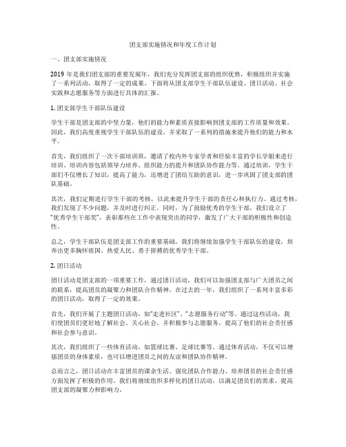 团支部实施情况和年度工作计划
