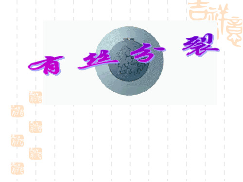 有丝分裂全内容 ppt课件