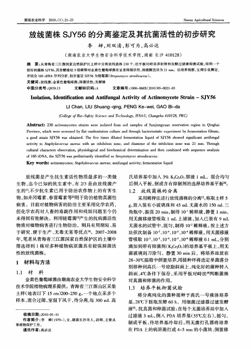 放线菌株SJY56的分离鉴定及其抗菌活性的初步研究