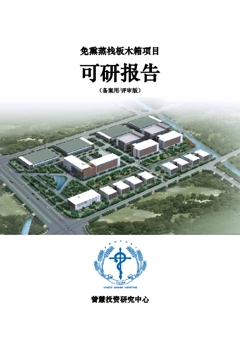 免熏蒸栈板木箱项目可研报告备案用(评审版)