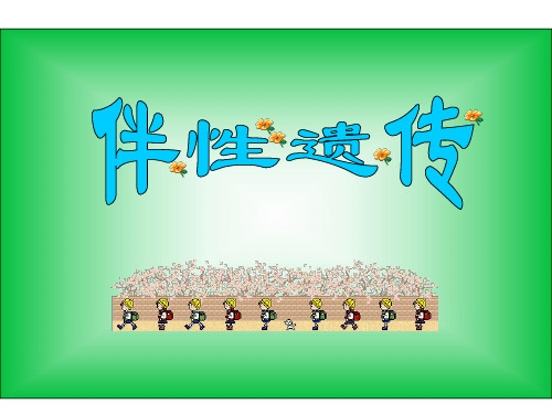 高一生物伴性遗传1(1)
