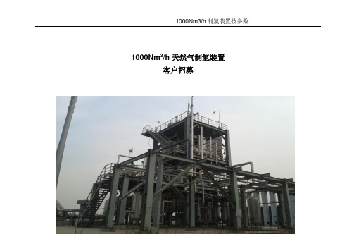 1000Nm3h天然气制氢装置