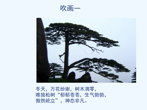 少儿美术- 吹画-松