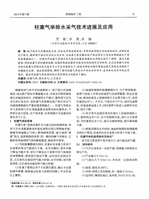 柱塞气举排水采气技术进展及应用