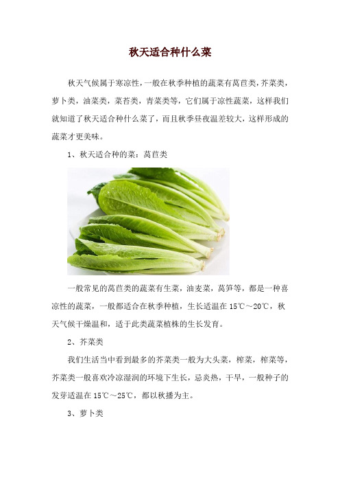 秋天适合种什么菜