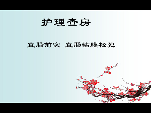 直肠前突护理查房
