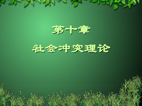 第10章 社会冲突理论