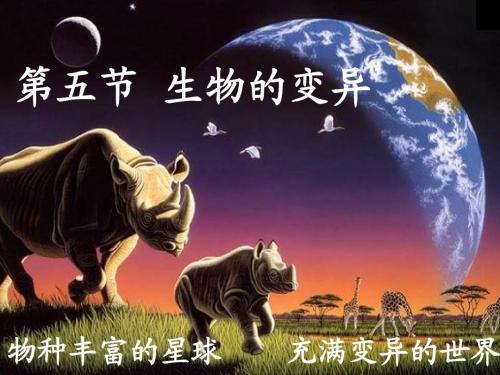 人教版八年级生物第二章第五节生物的变异