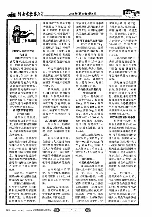清远麻鸡——中国优秀肉鸡品种