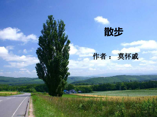 初中语文人教版(部编)七年级上册6 散步
