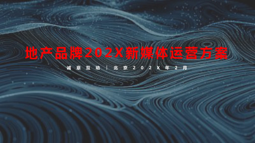 地产品牌年度新媒体运营传播案-创意新媒体品牌运营