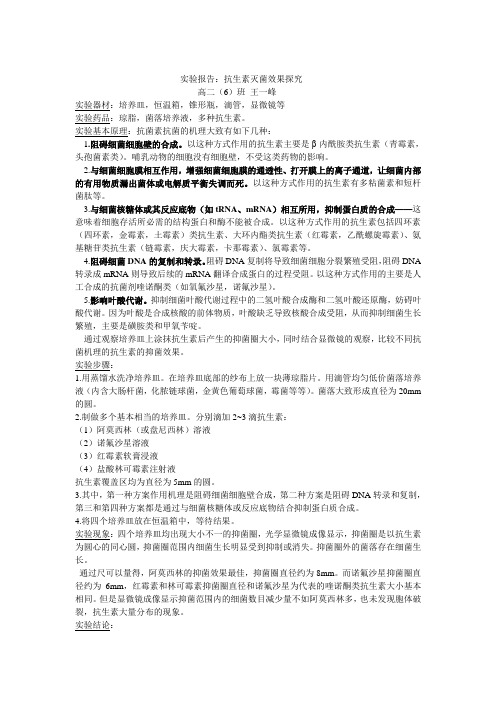 抗生素抑菌试验报告