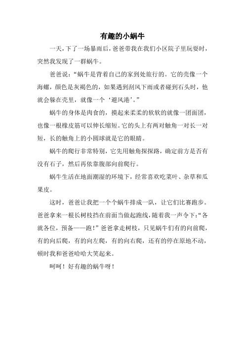 有趣的小蜗牛