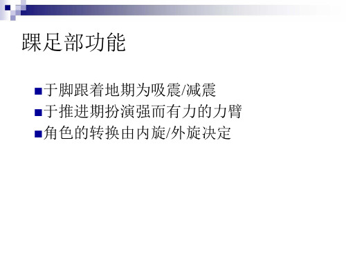 足踝解剖简介与评估测量【矫正鞋和矫形鞋垫】