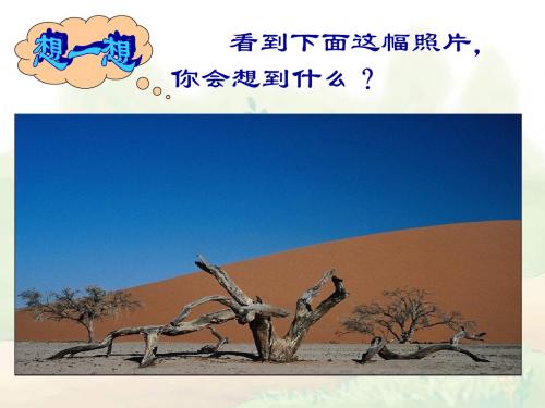 《汉家寨 》优秀教学课件.