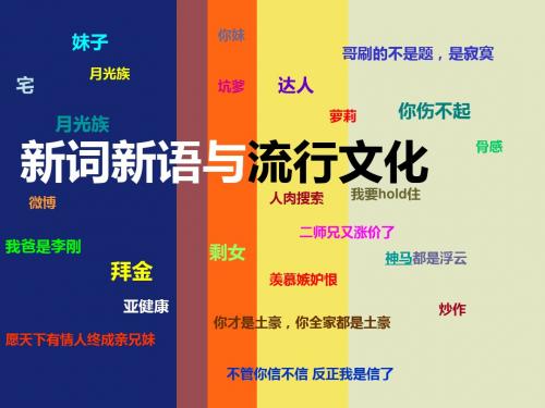 【高中语文】新词新语与流行文化ppt精品课件32