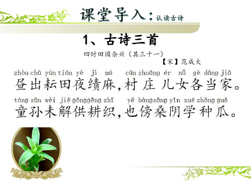 最新部编版语文五年级下册《四时田园杂兴》其三十一优质课教学课件(可编辑)