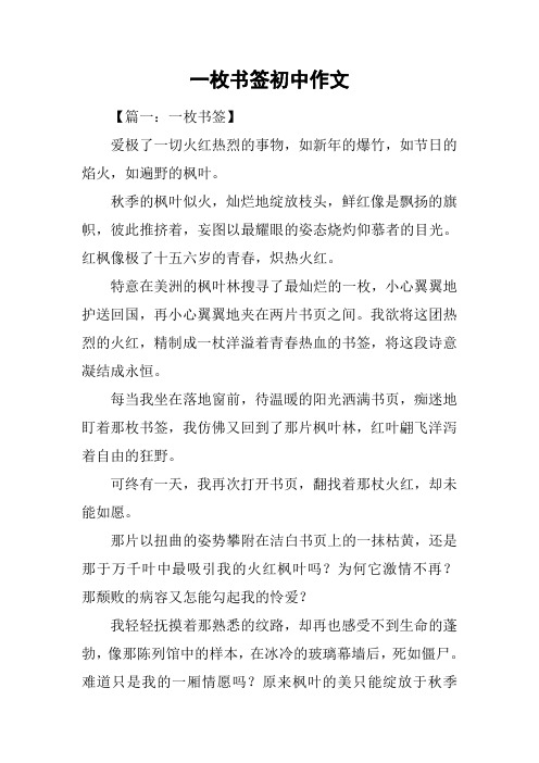 一枚书签初中作文