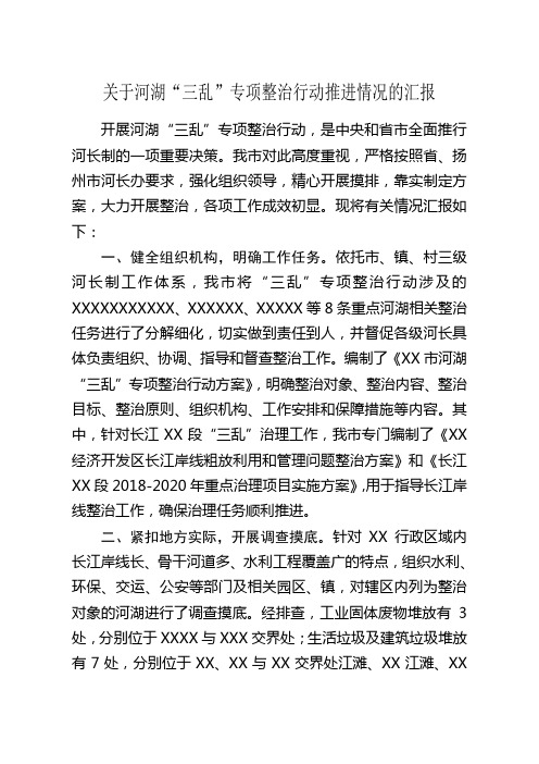 关于河湖“三乱”专项整治行动推进情况的汇报