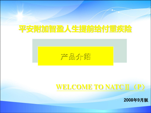 中国平安产品介绍(ppt 14页)