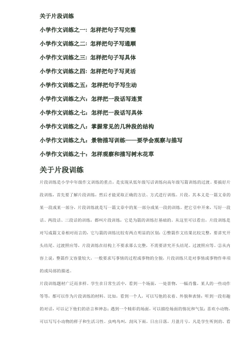 小学作文片段训练