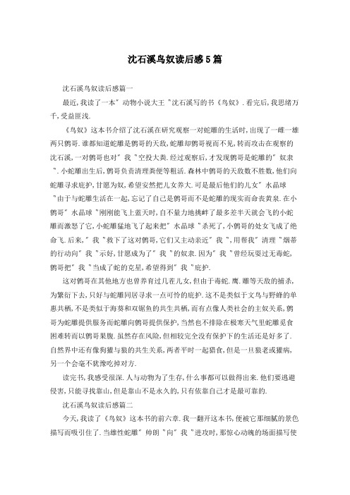沈石溪鸟奴读后感5篇
