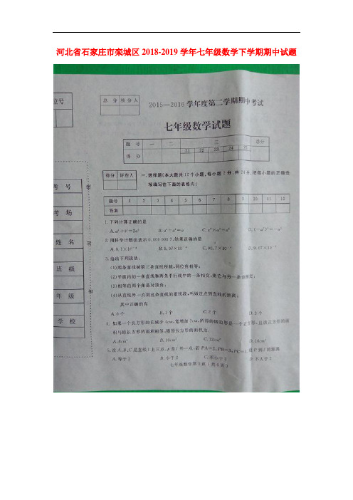 河北省石家庄市2018-2019学年七年级数学下册期中测试题