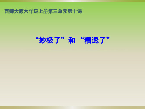 六年级上册语文课件-3.10 “妙极了”与“糟透了”｜西师大版(共15张PPT)