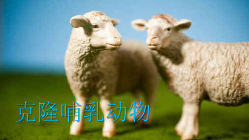《科学·技术·社会  克隆哺乳动物》PPT课件