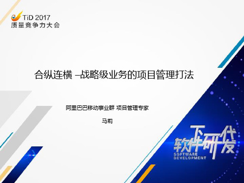 合纵连横-战略级业务的项目管理打法