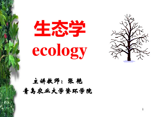 第三章种群生态学概要