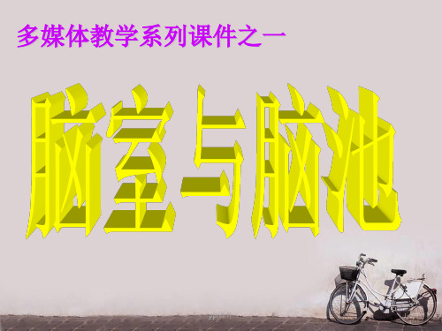 脑室与脑池  ppt课件