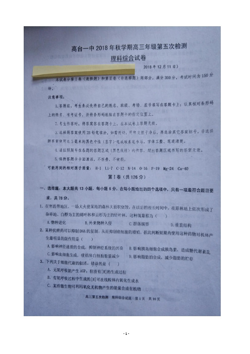2019届甘肃省高台县第一中学高三上学期第五次检测理科综合试题 扫描版