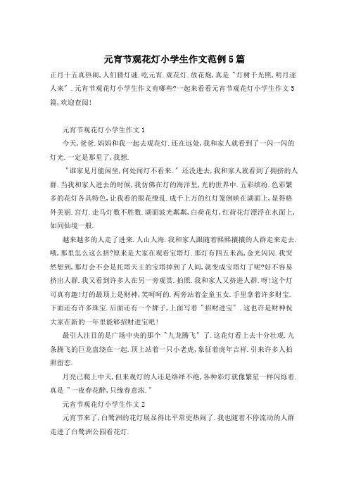 元宵节观花灯小学生作文范例5篇