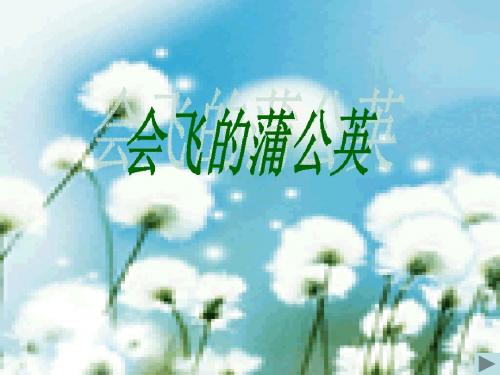 第十一课会飞的蒲公英课件