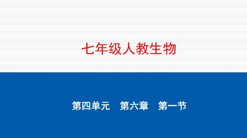 第1节 人体对外界环境的感知