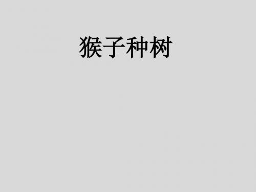 猴子种树【优质课件1】.ppt