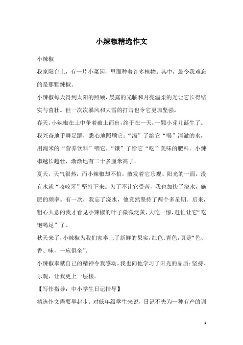 小辣椒精选作文