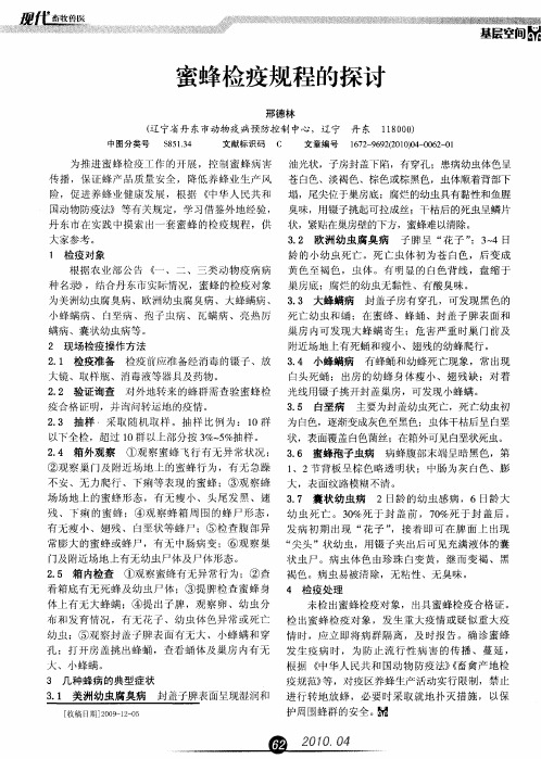 蜜蜂检疫规程的探讨
