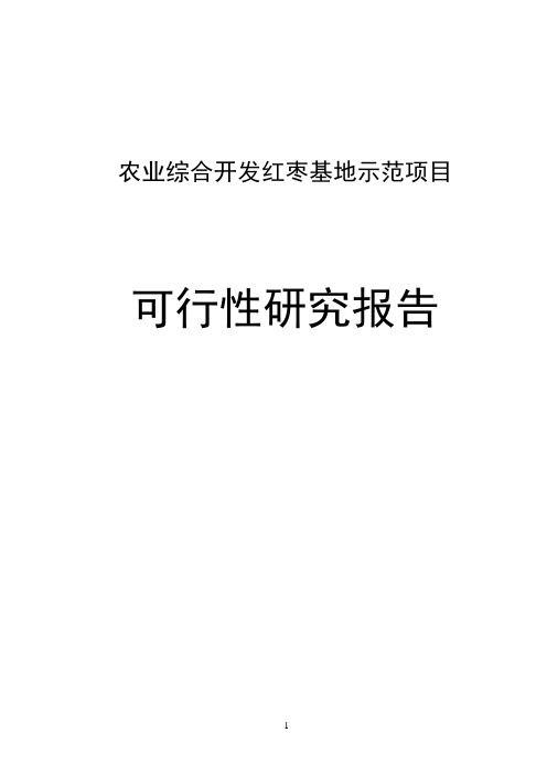 红枣基地示范项目可行性研究报告