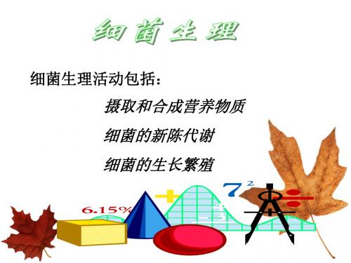 第3章 细菌生理