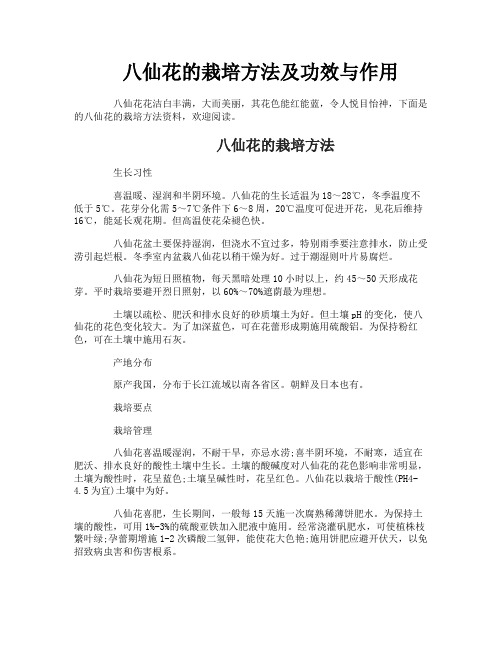 八仙花的栽培方法及功效与作用