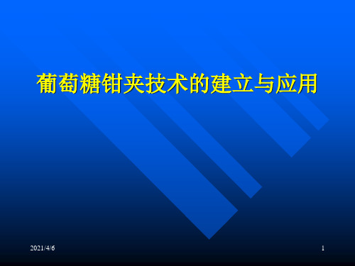 葡萄糖钳夹技术-文档资料