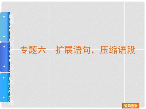 高考语文一轮复习 专题6 扩展语句,压缩语段课件